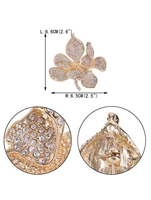 EVER FAITH Women's Austrian Crystal Orchid Flower Petal Brooch