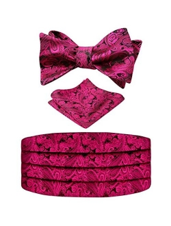 Alizeal Men's Paisley Cummerbund and UNTIED Bow Tie Hanky Set