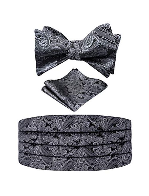 Alizeal Men's Paisley Cummerbund and UNTIED Bow Tie Hanky Set