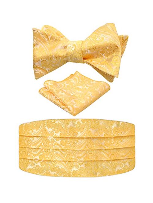 Alizeal Men's Paisley Cummerbund and UNTIED Bow Tie Hanky Set