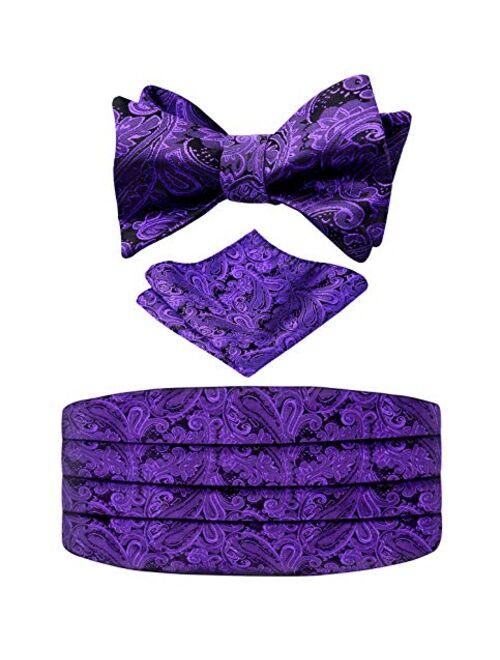 Alizeal Men's Paisley Cummerbund and UNTIED Bow Tie Hanky Set