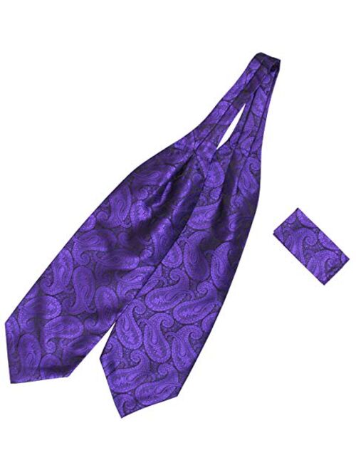 Historical Emporium Men's Satin Paisley Ascot