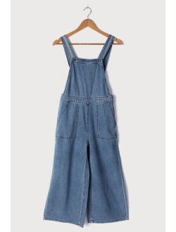 Paint by Numbers Medium Wash Striped Denim Overalls