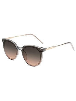 Retro Round Sunglasses for Women Oversized Mirrored Glasses DOLPHIN SJ2068