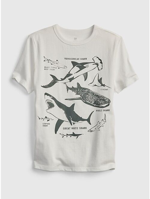 GAP Kids 100% Organic Cotton Graphic T-Shirt