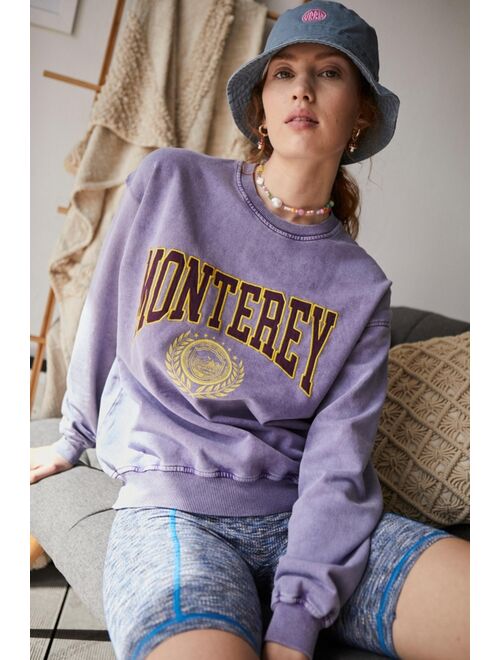 Urban outfitters UO Monterey Applique Sweatshirt