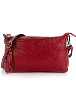 Genuine Leather Crossbody Bag For Women Small Tassel Shoulder Bag Zipper Clutch Phone Wallet Purse