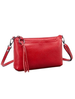 Genuine Leather Crossbody Bag For Women Small Tassel Shoulder Bag Zipper Clutch Phone Wallet Purse