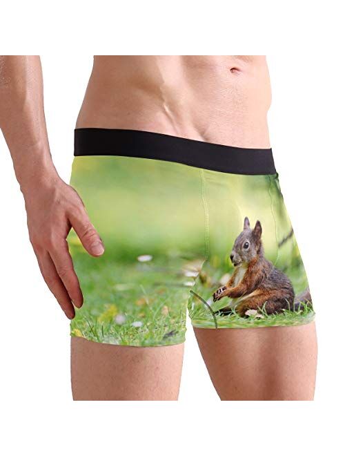 Fantasy Cat Riding Unicorn Men's Boxer Briefs Comfortable Soft Underwear Creative Pattern S