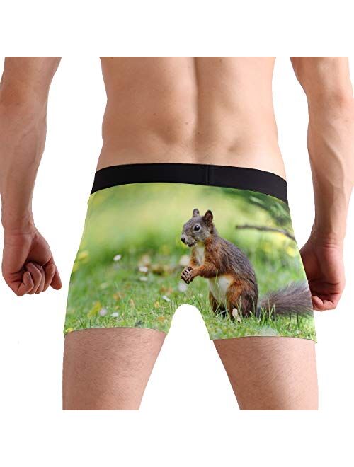 Fantasy Cat Riding Unicorn Men's Boxer Briefs Comfortable Soft Underwear Creative Pattern S