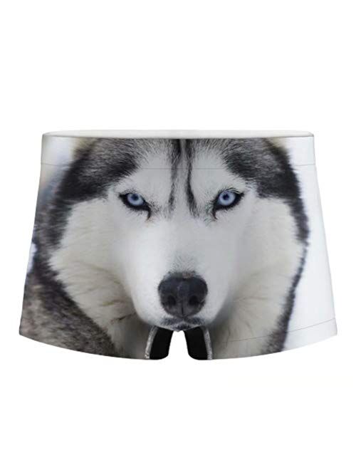 Dellukee Men's Boxer Briefs Funny Animal Print Fashion Short Underwear for Bachelorette Party