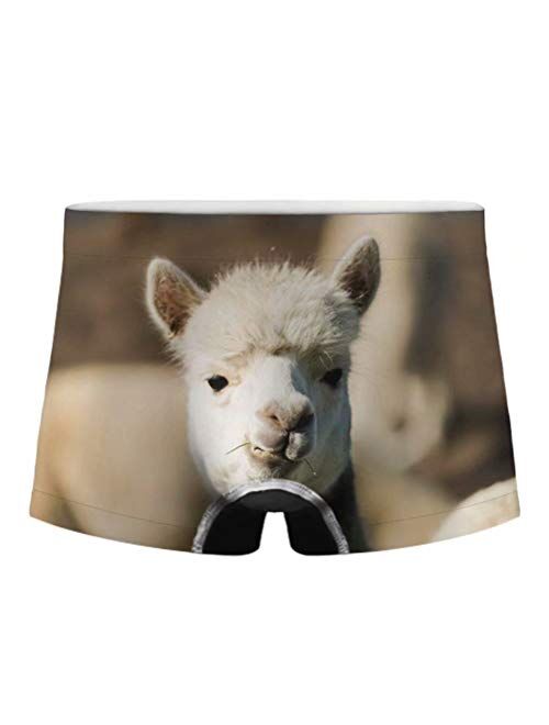 Dellukee Men's Boxer Briefs Funny Animal Print Fashion Short Underwear for Bachelorette Party