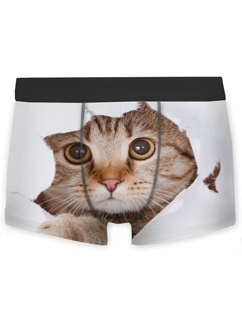 OcuteO Mens Boxer Briefs Funny Animal Cat Chic Kitten In White Paper Hole Brief Underwear Novelty Youth Boys Trunks