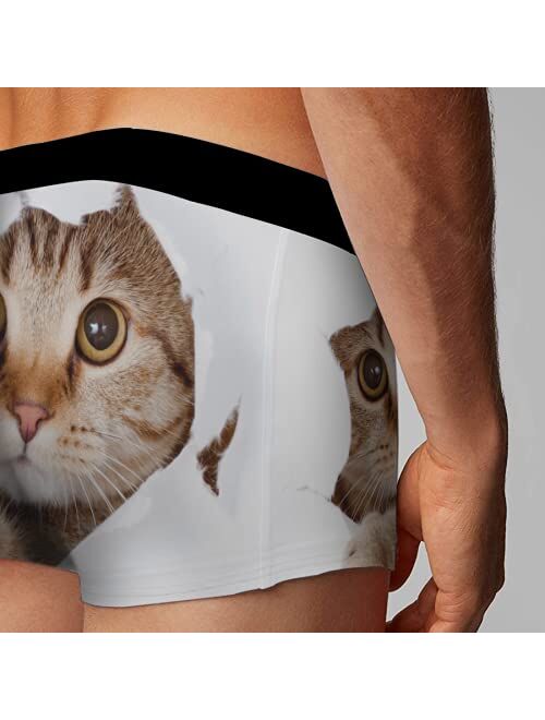 OcuteO Mens Boxer Briefs Funny Animal Cat Chic Kitten In White Paper Hole Brief Underwear Novelty Youth Boys Trunks