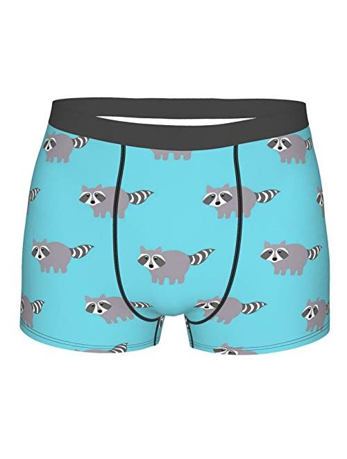 Buy Raccoons in A Cartoon Style Funny Boxer Briefs Print Underwear for ...