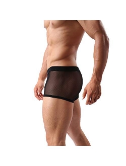 Sheii Mens Boxer Briefs Soft Mesh Breathable Underpants Men's Sexy Underwear Cool Design See-Through Trunks Pack