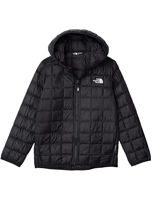 The North Face Thermoball Eco Hoodie (Toddler)