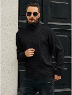 Men Turtleneck Cable Knit Sweater