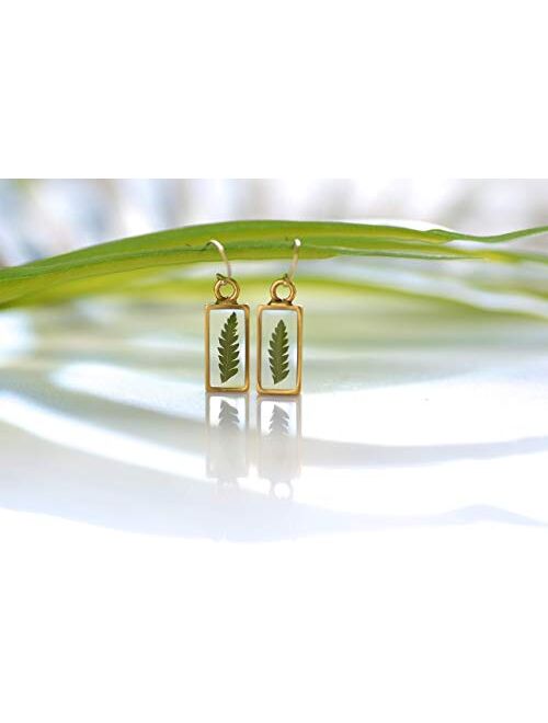 Olive Bella™ 14k Gold Filled Ear Wire Fern Leaf Earrings Gift for Women, 1" Drop Length