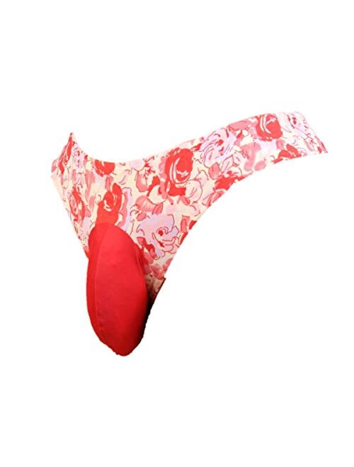 Aishani Sissy Pouch Panties Silky lace Bikini Briefs Men's hot Underwear Sexy for Men