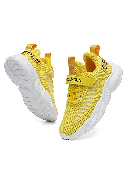 GSLMOLN Boys Girls Lightweight Breathable Sneakers Casual Fashionable Walking/Running Sports Kids Shoes