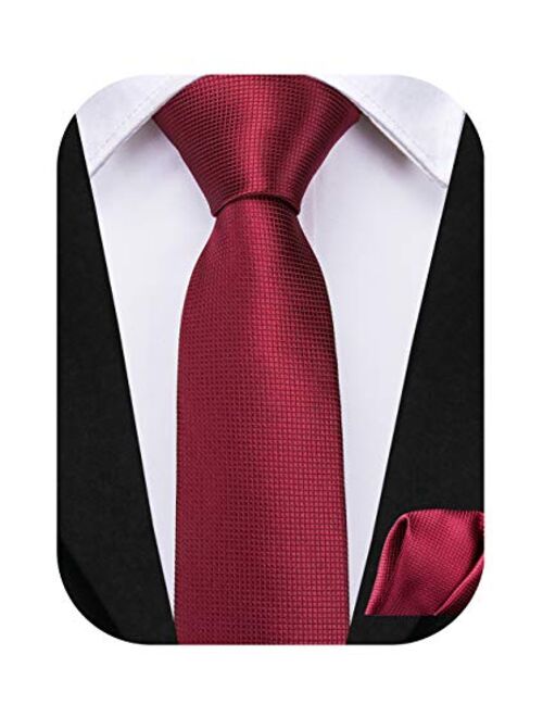 Dubulle Tie for Boys Self Tie Silk Kids Necktie and Pocket Square Set for Age 8-14