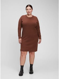 Softest Crewneck Sweater Dress