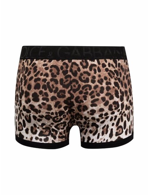 Dolce & Gabbana leopard-print boxer trunks