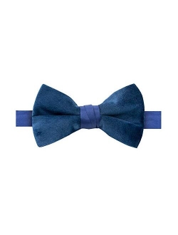 Boys' Kids Velvet Bow Tie