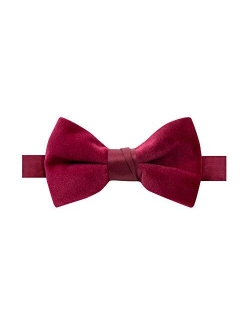 Boys' Kids Velvet Bow Tie