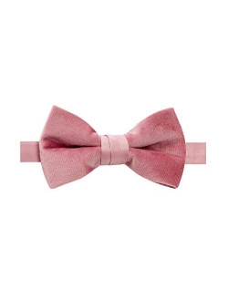 Boys' Kids Velvet Bow Tie