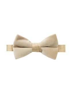 Boys' Kids Velvet Bow Tie