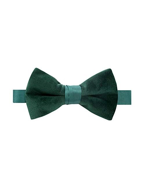 Spring Notion Boys' Kids Velvet Bow Tie