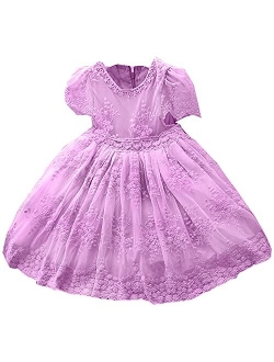 TTYAOVO Girls Embroidered Lace Sleeveless Tulle Flower Princess Party Dresses Back Bow