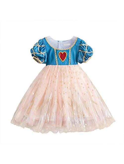 TTYAOVO Girls Embroidered Lace Sleeveless Tulle Flower Princess Party Dresses Back Bow