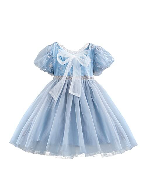 TTYAOVO Girls Embroidered Lace Sleeveless Tulle Flower Princess Party Dresses Back Bow