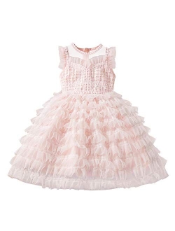 TTYAOVO Little Girls Lace Embroidered Holiday Casual Dress