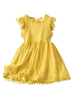 TTYAOVO Little Girls Lace Embroidered Holiday Casual Dress