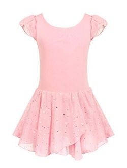 Girls Ruffle Sleeve Ballet Dance Dress Tutu Skirted Leotard