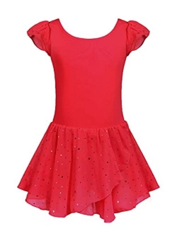 Girls Ruffle Sleeve Ballet Dance Dress Tutu Skirted Leotard