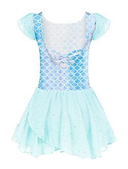 Girls Ruffle Sleeve Ballet Dance Dress Tutu Skirted Leotard