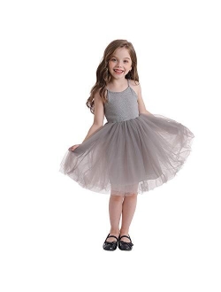 TTYAOVO Baby Girls Tulle Dress Toddlers Sleeveless Sundress Flower Princess Dress