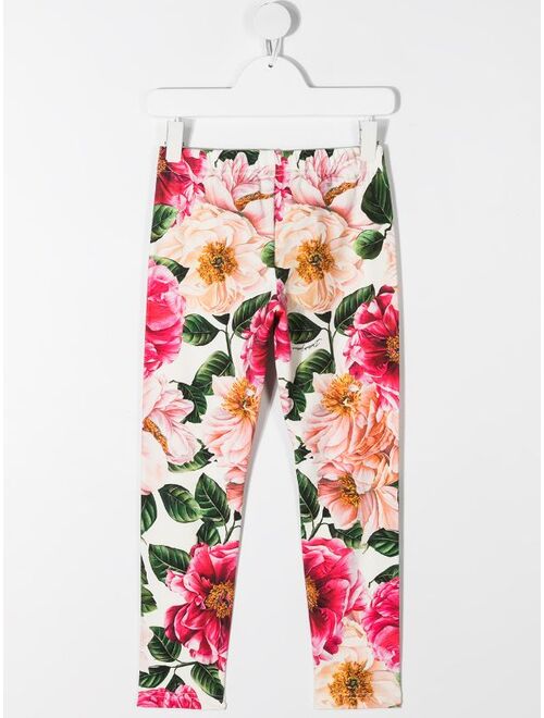 Dolce & Gabbana floral-print cotton leggings