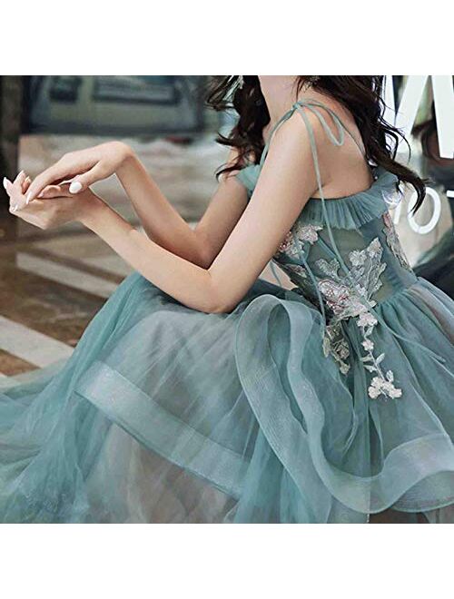 Gricharim Women's Spaghetti Strap Applique Prom Dresses Long Tulle Ruched Evening Formal Gowns