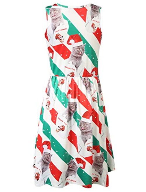 SSLR Womens Party Dress Printed A-Line Crewneck Sleeveless Ugly Christmas Dresses for Women