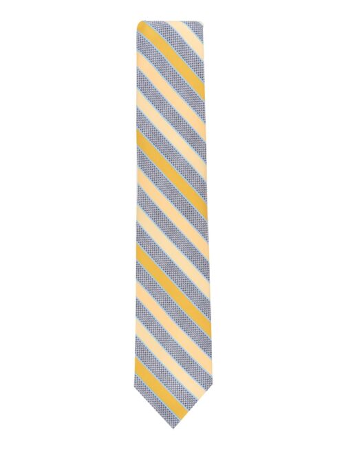 Perry Ellis Men's Barkan Stripe Tie