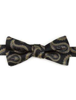 R2D2 Paisley Men's Bow Tie