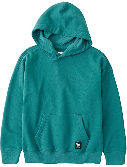 Abercrombie & Fitch Easy Fit Logo Pop Over Hoodie (Little Kids/Big Kids)