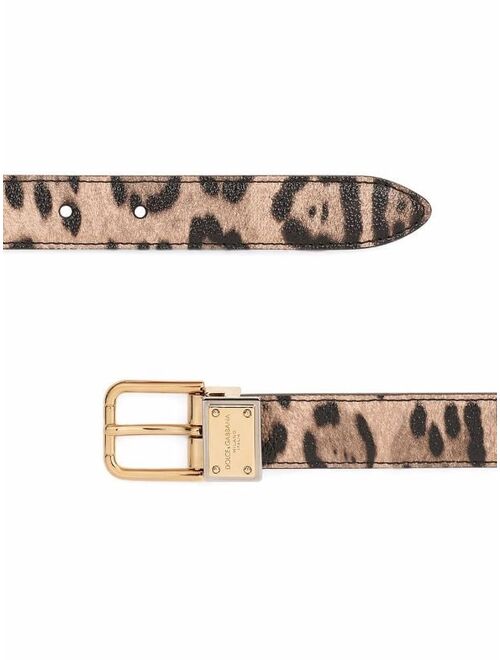 Dolce & Gabbana leopard-print logo plaque belt