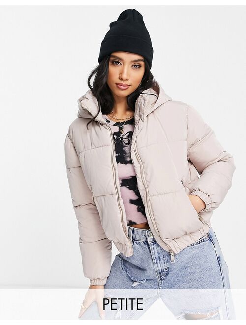 Miss Selfridge Petite short hooded puffer jacket in mink